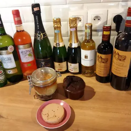 Spa Mensignac 아파트