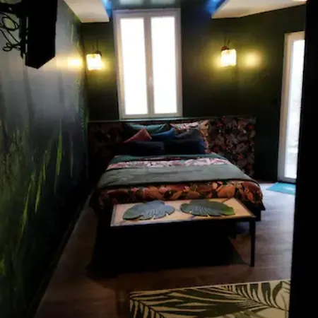 Appartement Loft Avec Privatif *