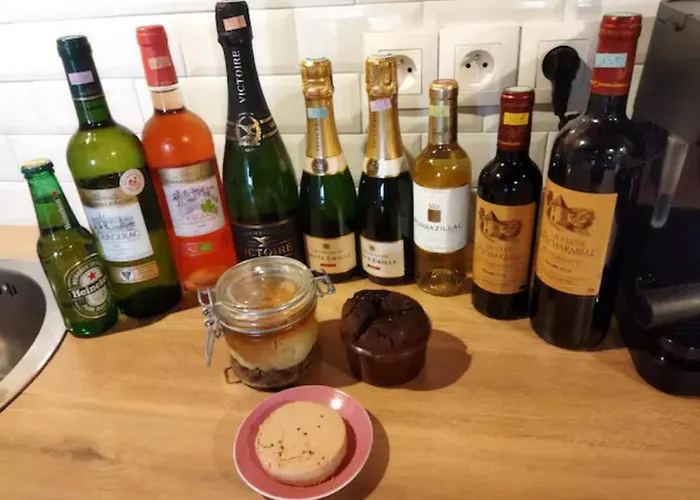 Spa Mensignac Apartmán